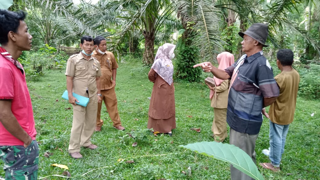 PENINJAUAN PERMOHONAN IZIN BANGUNAN ( IMB )