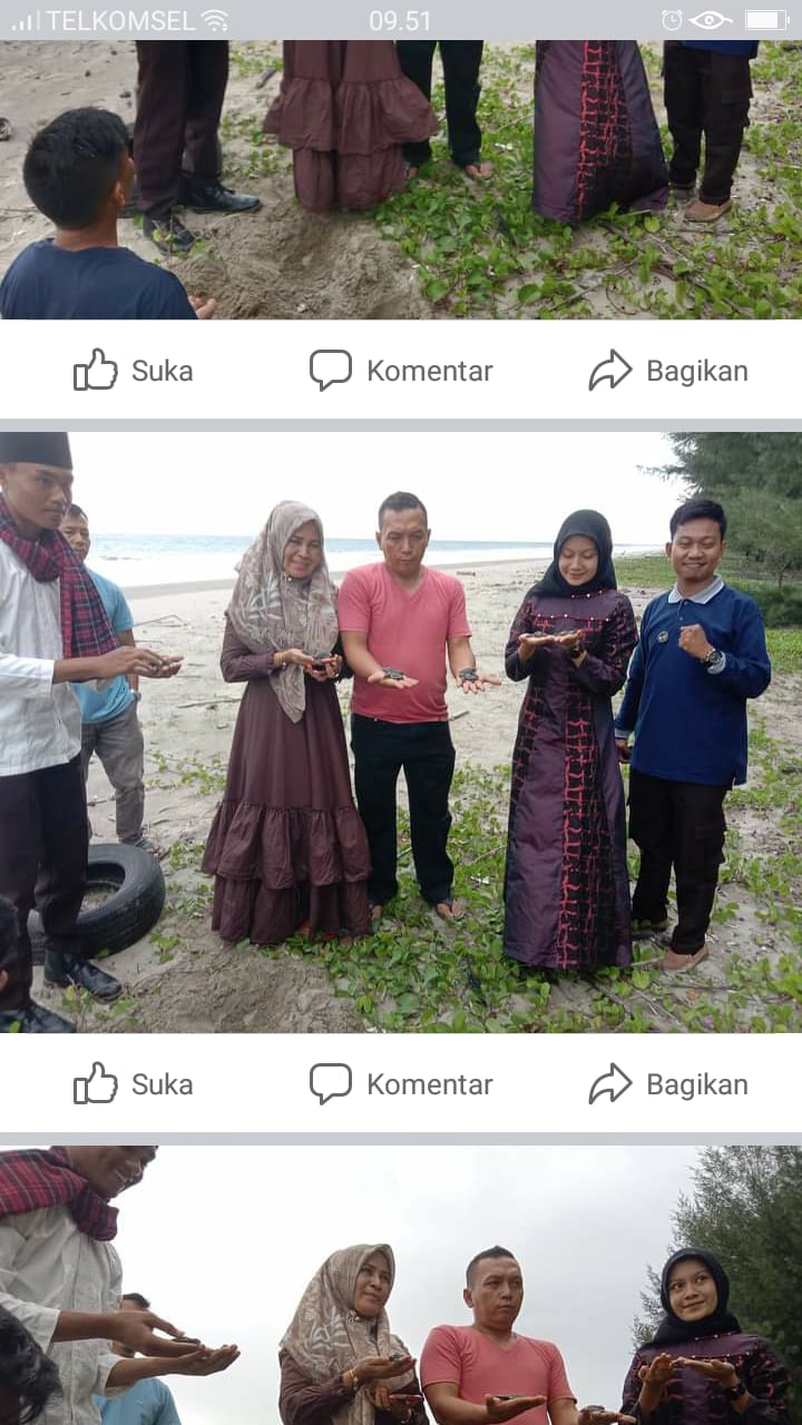 SELAMATKAN ANAK PENYU YANG BARU MENETAS