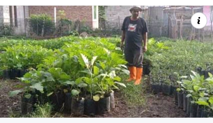 Wali Nagari Surantih Bagikan Tanaman pada Warga